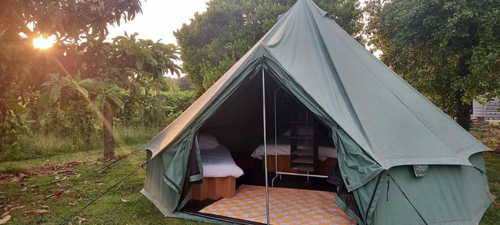 Quinta da Teimosa - Tenda
