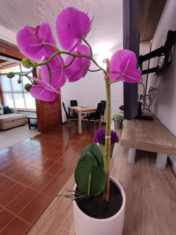 Fotografie z fotogalerie ubytování Las Tartanas Two Bedroom Bungalow v destinaci Playa del Ingles
