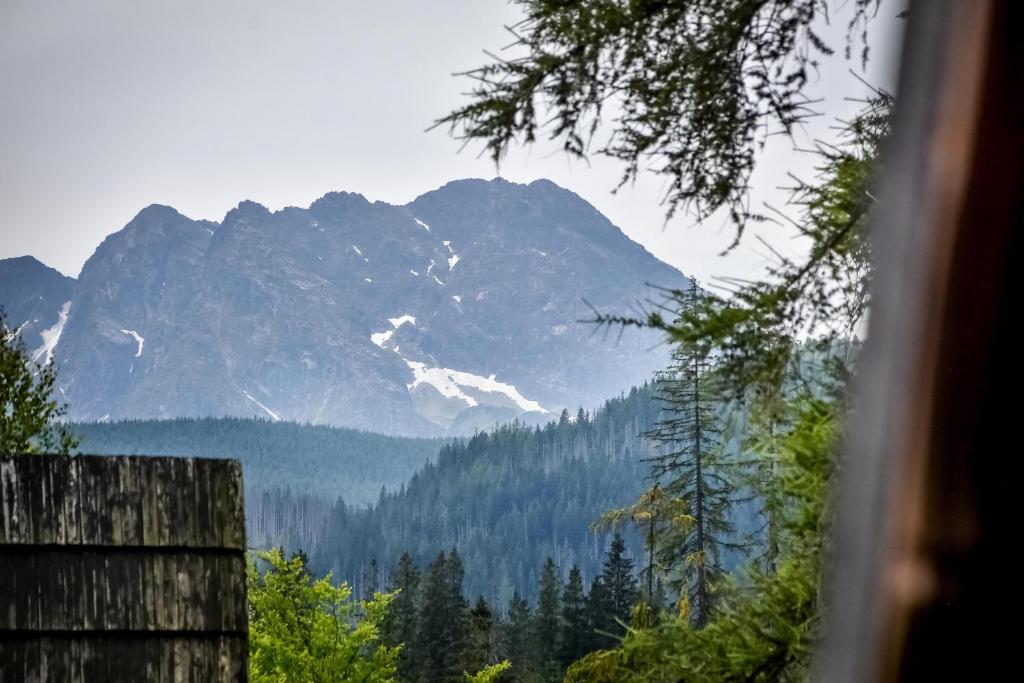 una ventana con vistas a una cordillera en Za górami Za lasami Zakopane, en Zakopane