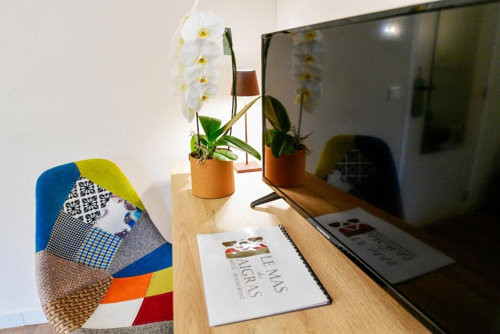 Le Mas Des Aigras - Hôtel de Charme en Provence - Habitación Gemela