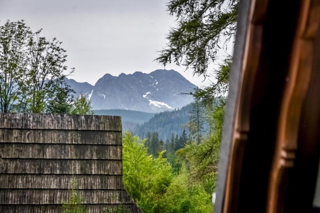Za górami Za lasami Zakopane - 16