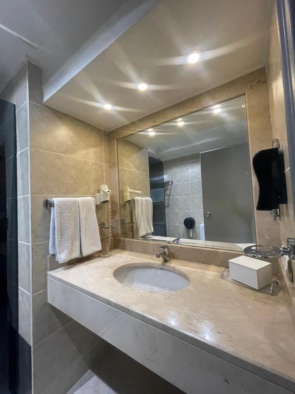 EmexOtel Kocaeli - Habitación Individual Estándar