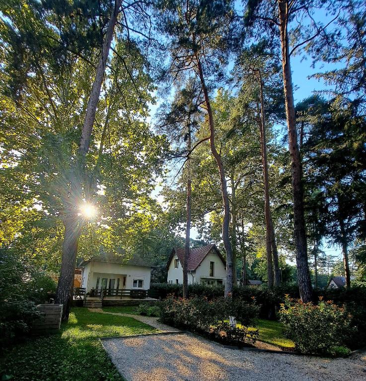 Giardino di ŐzikeLak24