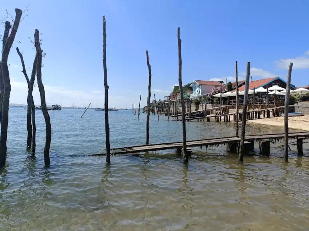 un quai dans l'eau avec des arbres dans l'eau dans l'établissement Appartement 2 chambres presqu'île du Cap-Ferret, à Lège-Cap-Ferret