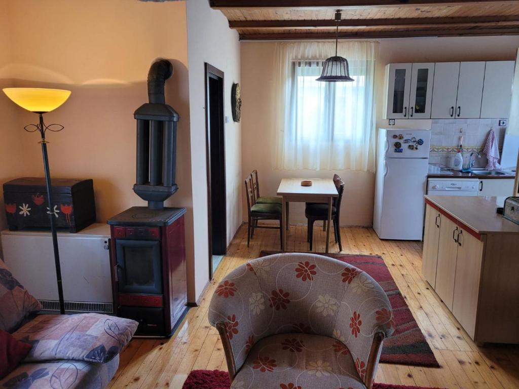 Kuchyň nebo kuchyňský kout v ubytování Apartman Đokić