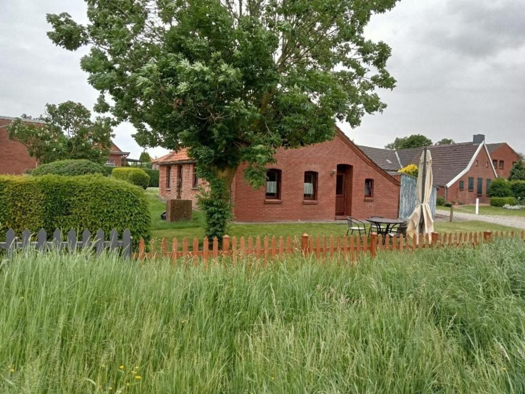 Zahrada ubytování Ferienhaus Landschaft