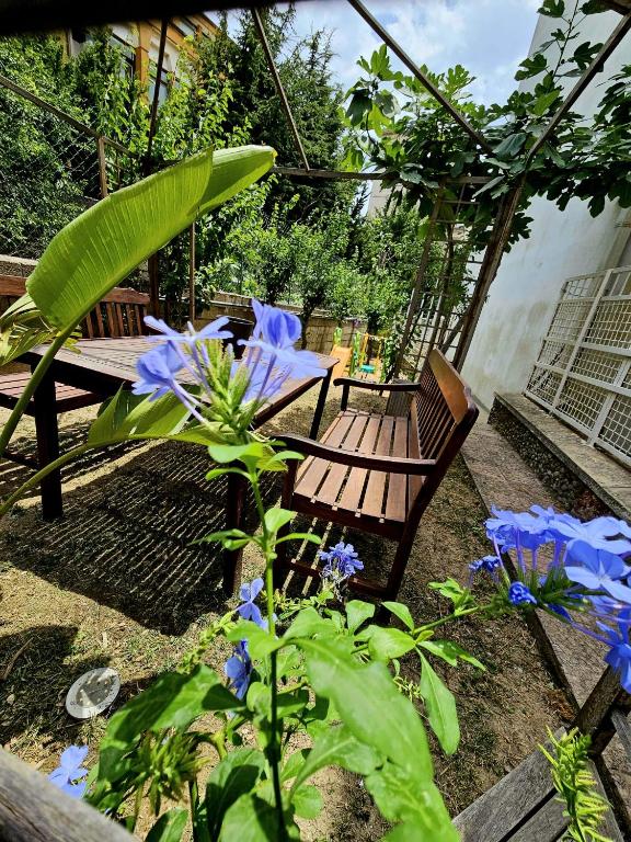 Zahrada ubytování PRESTIGE casa vacanze