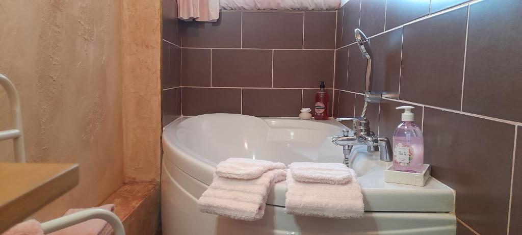 Koupelna v ubytování Appartements & Chambres Les Loges du Capucin