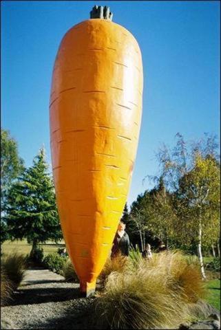 Ruapehu Mountain Motel & Lodge - Resim 37