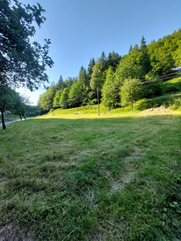 Příroda nedaleko kempu
