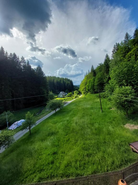 Příroda nedaleko kempu
