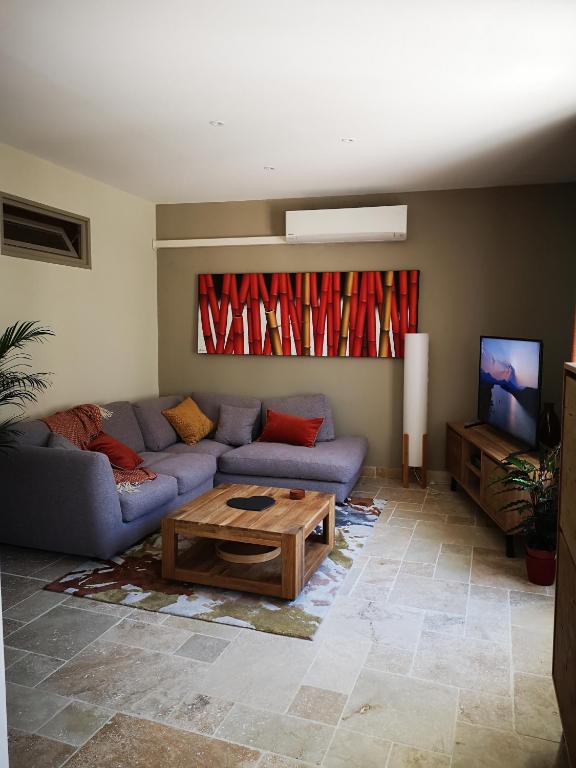 un salon avec un canapé et une table basse dans l'établissement Appartement dans le centre ville Avignon, à Avignon