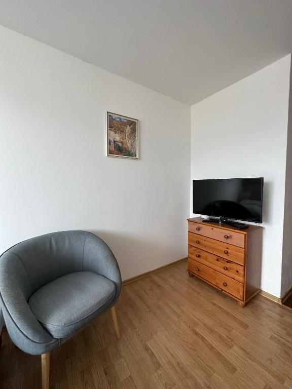TV a/nebo společenská místnost v ubytování Apartments Albi
