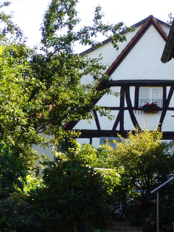 a white house with a window and some trees at Ferienhaus 1534 in Neustadt an der Weinstraße