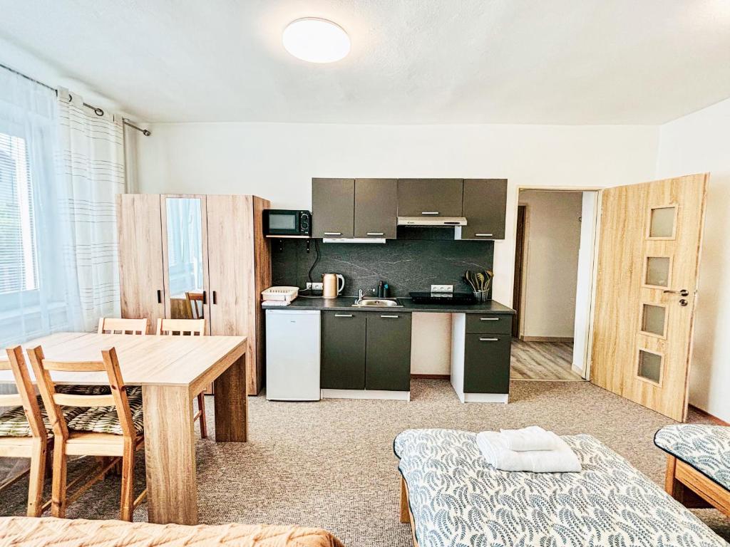 Kuchyň nebo kuchyňský kout v ubytování ViVi Apartments