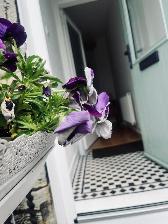 a potted plant sitting on a ledge next to a door at 7a Seatreat in Kinghorn