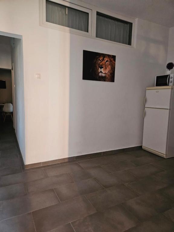 Kuchyňa alebo kuchynka v ubytovaní Aurelia Apartments, Vir