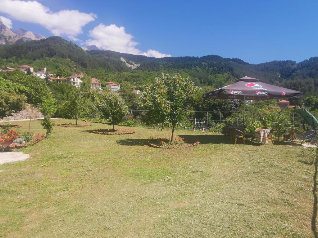 Příroda nedaleko apartmánu