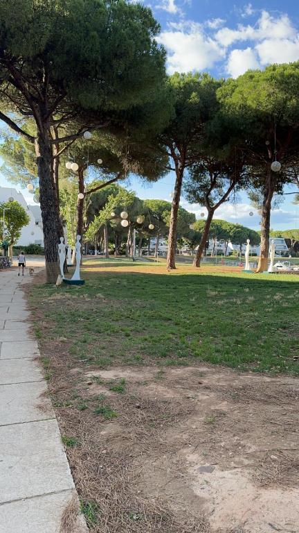 un parc avec des arbres et de l'herbe et un trottoir dans l'établissement Appartement climatisé avec place de parking privé, à La Grande Motte