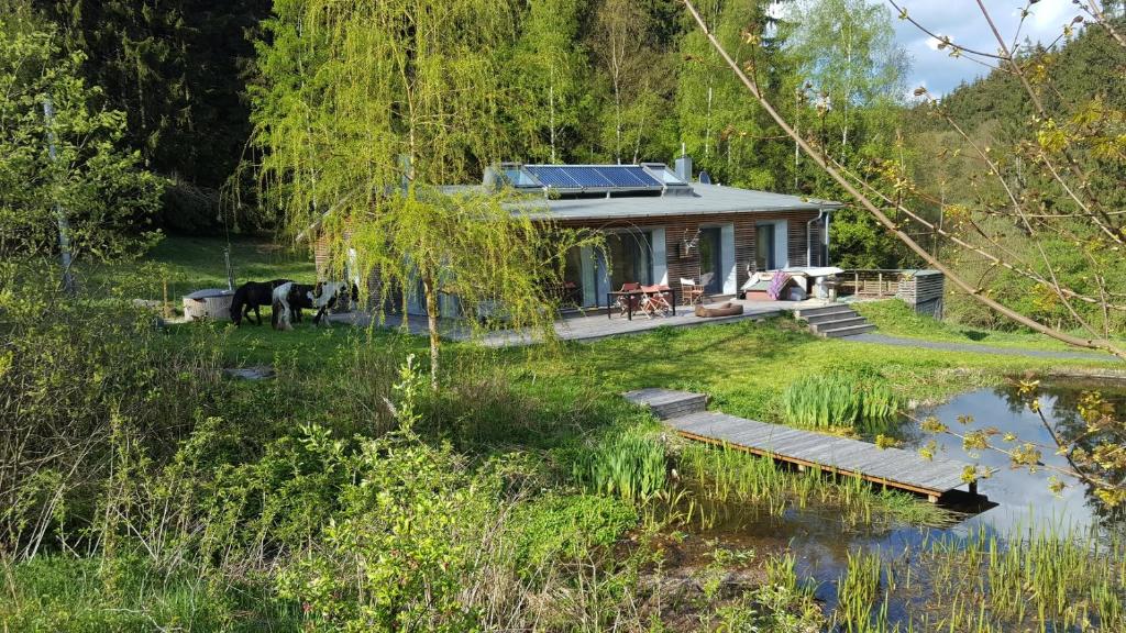 una casa con un molo accanto a un bacino d'acqua di Ferienhäuser Ratsmühle, Haus am Teich a Ilmenau
