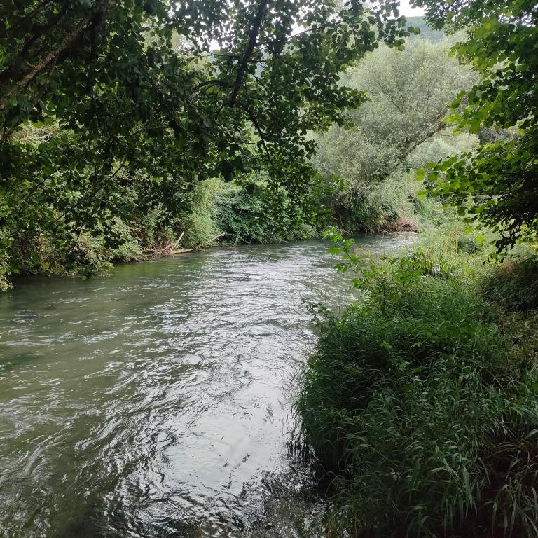 Příroda nedaleko apartmánu