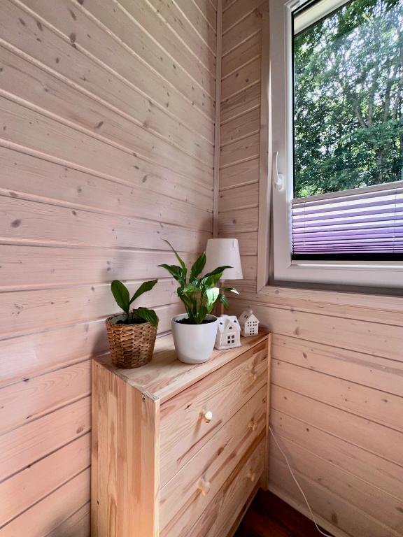 Wooden dresser with potted plants and window view.