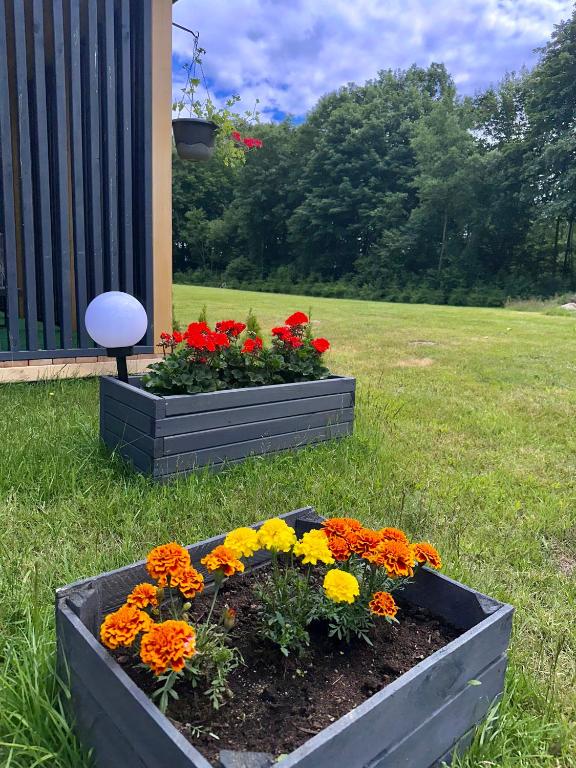 Flower boxes with vibrant blooms near a wooden structure, surrounded by grass.