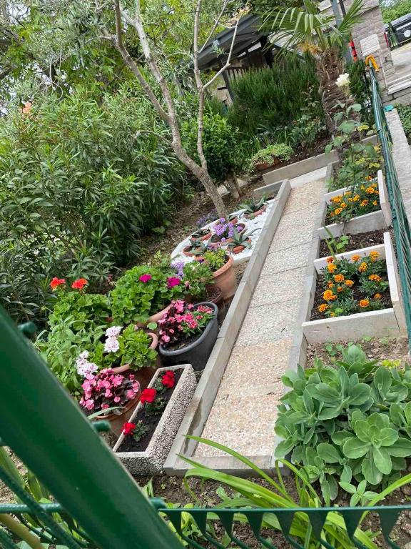 Zahrada ubytování Pr šterni - Hrvatini 187 Ankaran