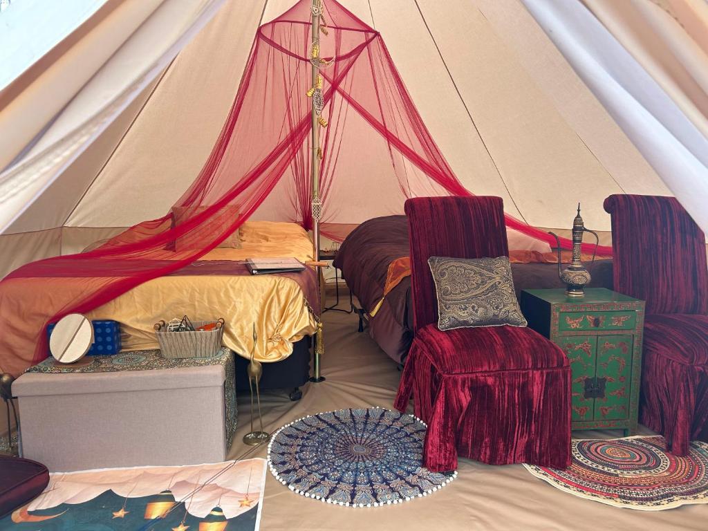 Fotografie z fotogalerie ubytování #Y7 Whole New World Yurt v destinaci Drumheller