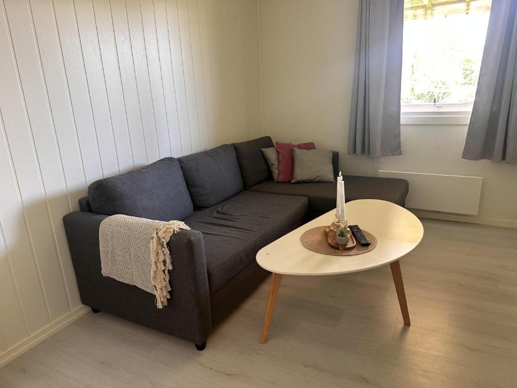 a living room with a couch and a table at Studio apartment in the center of Alta in Alta
