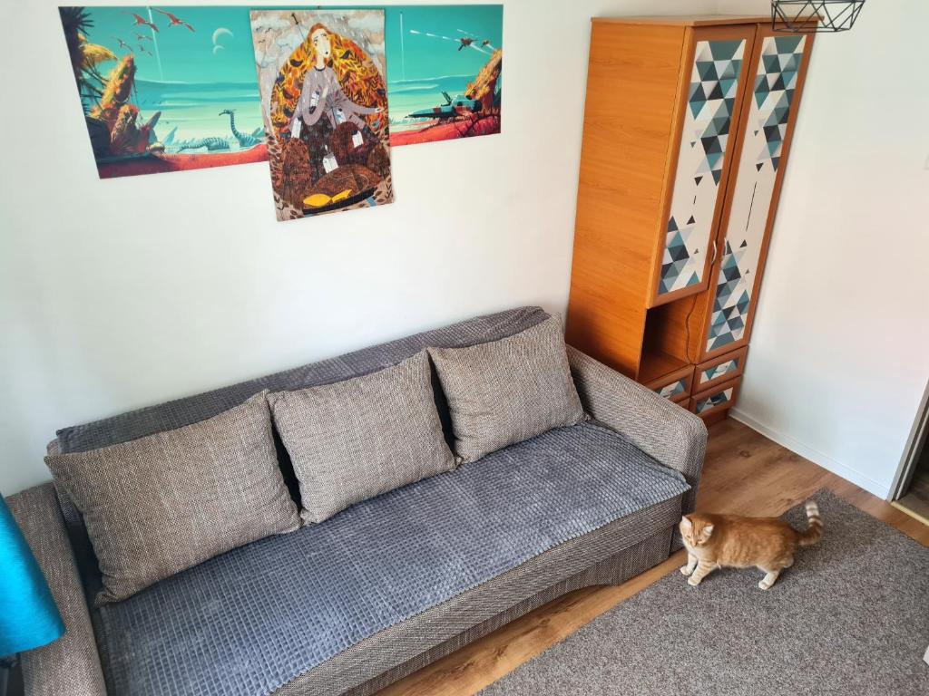 Un lugar para sentarse en OG rooms