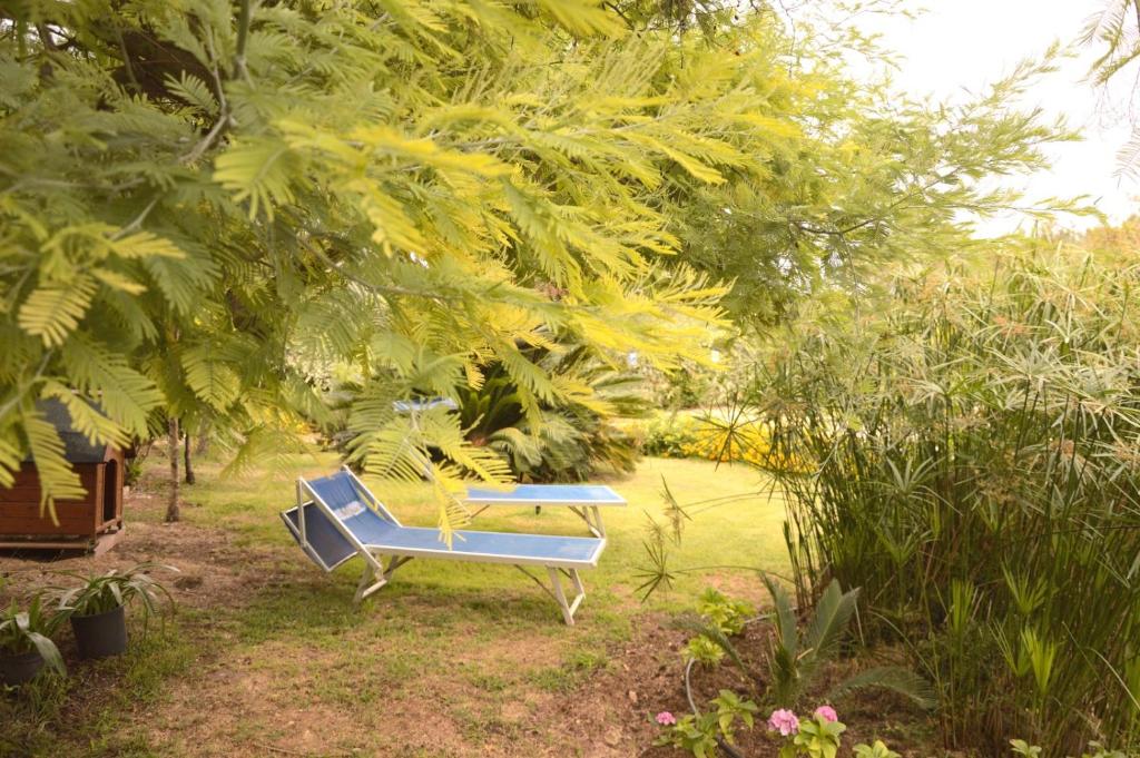 two blue chairs are sitting in a garden at Spiaggia LazzarettoHouse in Alghero