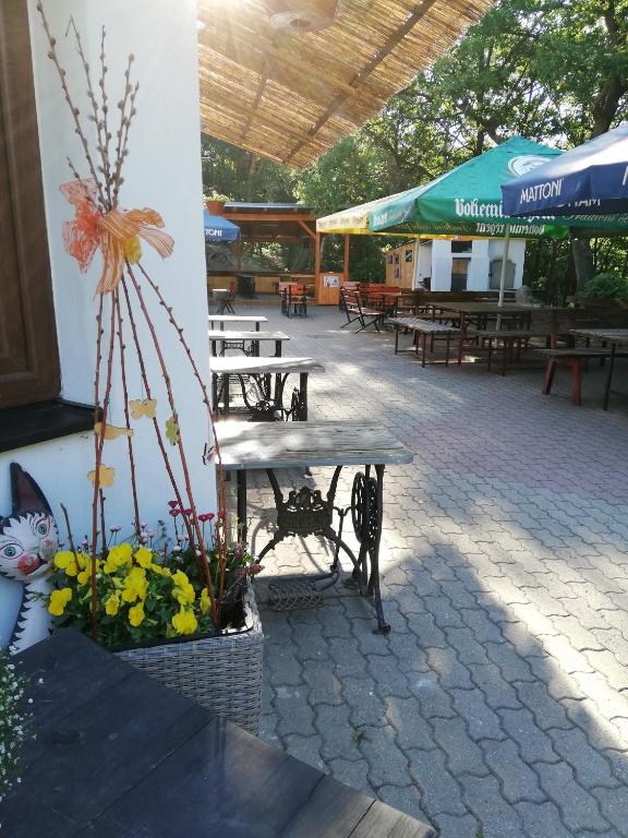 Restaurace v ubytování Hotel Kamenný vrch