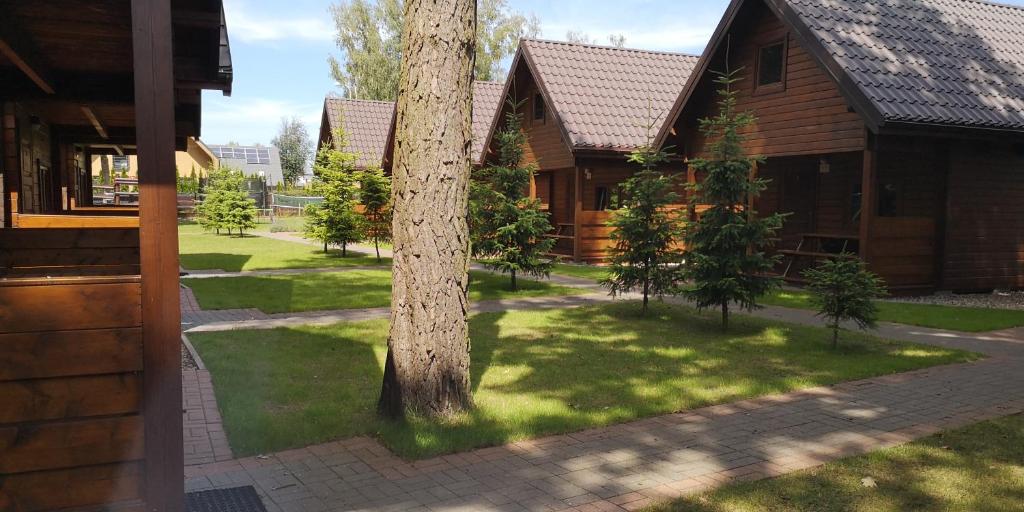 ein Baum in einem Hof neben einem Gebäude in der Unterkunft Osada nad Dziwną domki nad morzem in Dziwnów