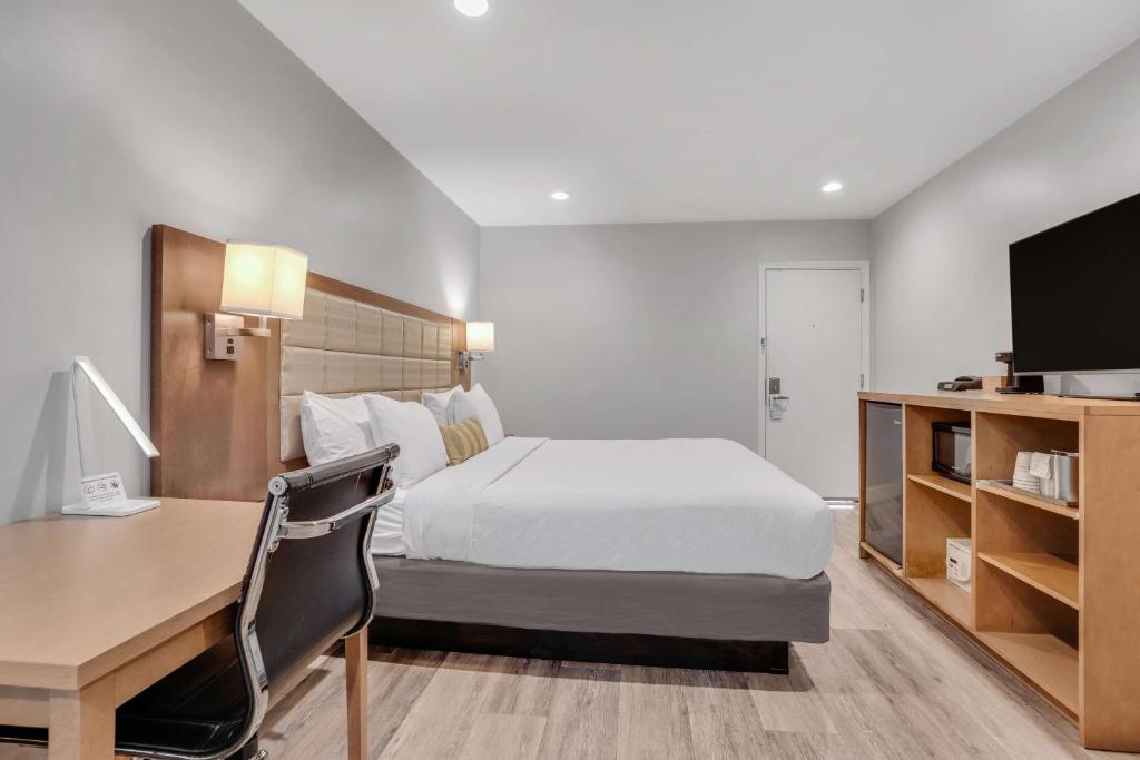 Sather Berkeley - SureStay Collection by Best Western photo