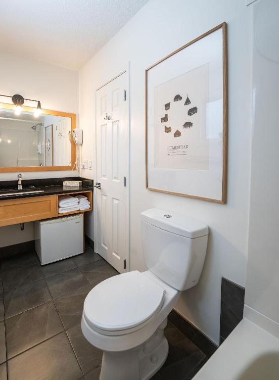a bathroom with a white toilet and a sink at Swiss Chalet Motel in Revelstoke