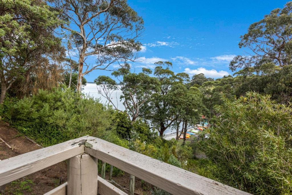 a wooden boardwalk with a view of trees and water at Jetty View - Lorikeet Cabin in Nungurner