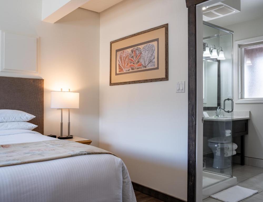 a hotel room with a bed and a sink at Swiss Chalet Motel in Revelstoke