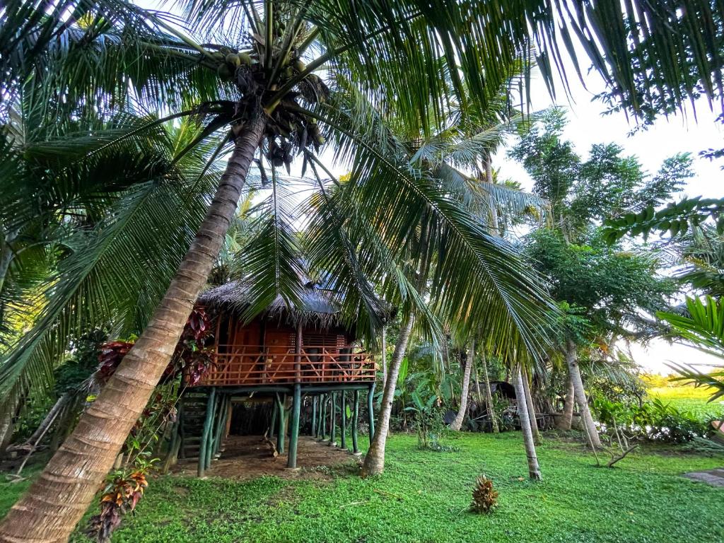 LakeSide Cabana Tissamaharama - 8