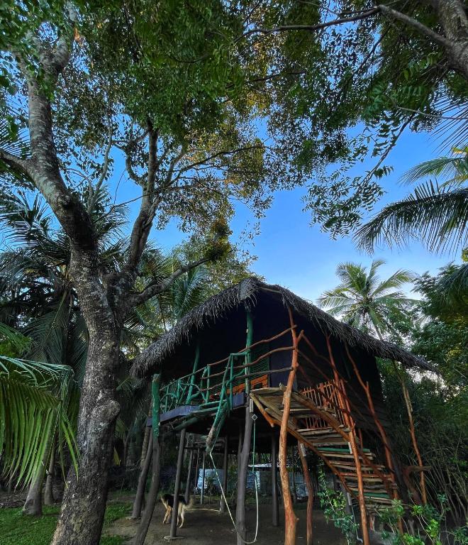 LakeSide Cabana Tissamaharama - 2