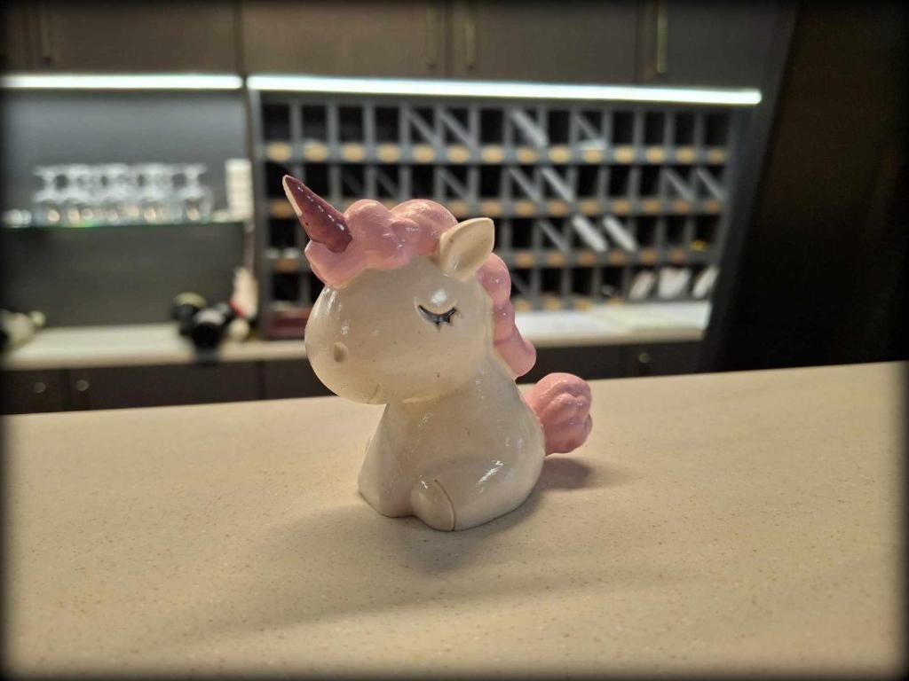 Hotel Unicornis - Resim 15