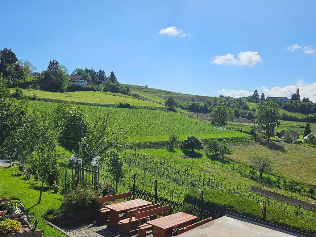 Fotografie z fotogalerie ubytování Turistična kmetija EMIL v destinaci Malečnik