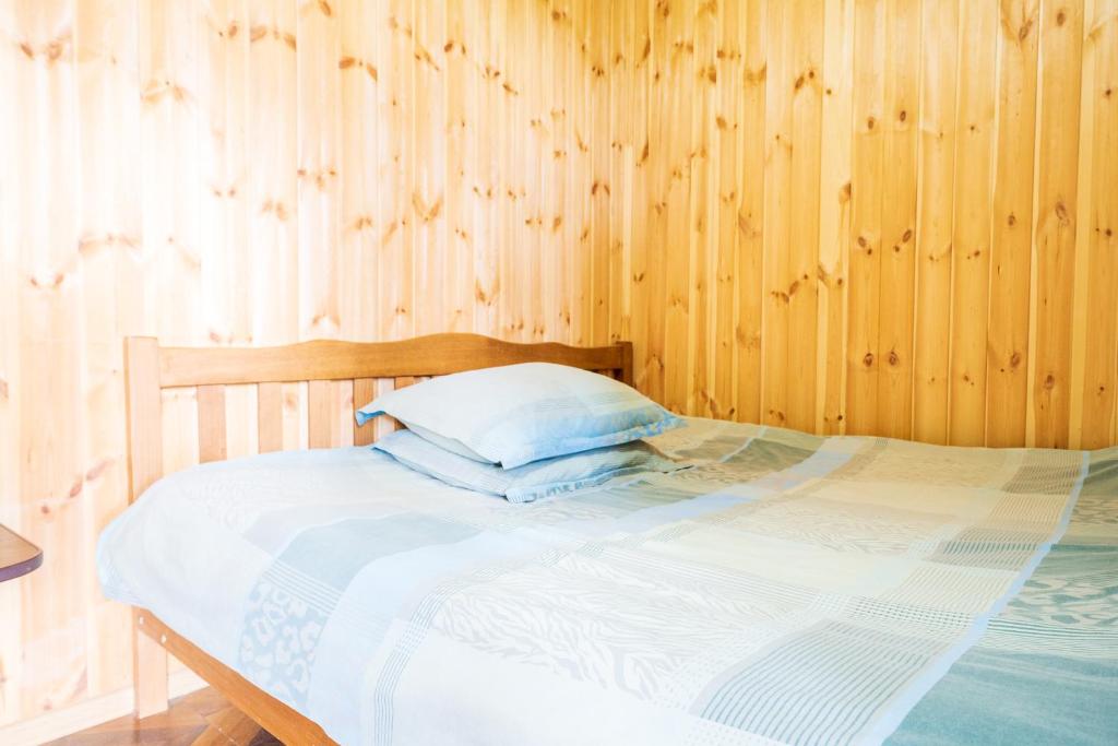 Postel nebo postele na pokoji v ubytování Guesthouse Svani