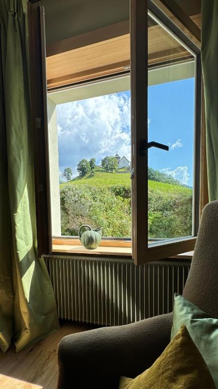 Příroda nedaleko hotelu