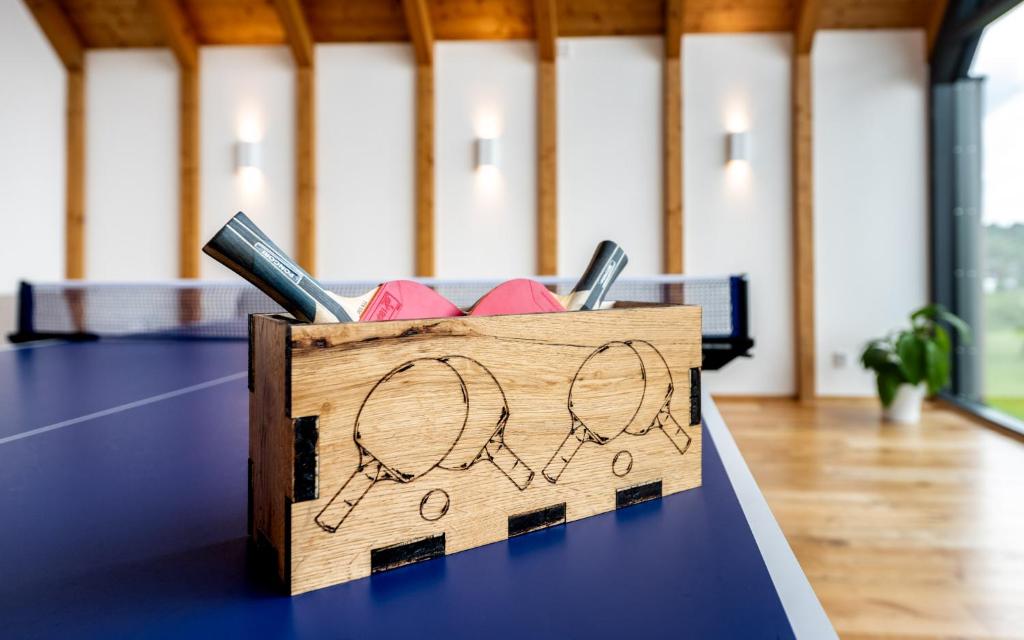 Pingue-pongue em Pension Čtyřlístek ou nos arredores