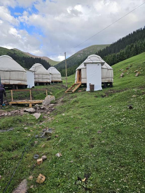 a group of domes in a field with a mountain at Sayakat Eco Camp in Kaji-Say