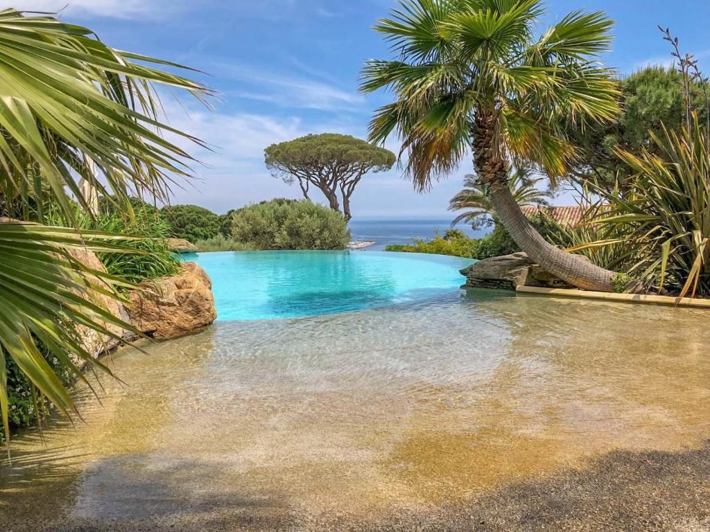 une piscine avec des palmiers et l'océan dans l'établissement La California, à Sainte-Maxime