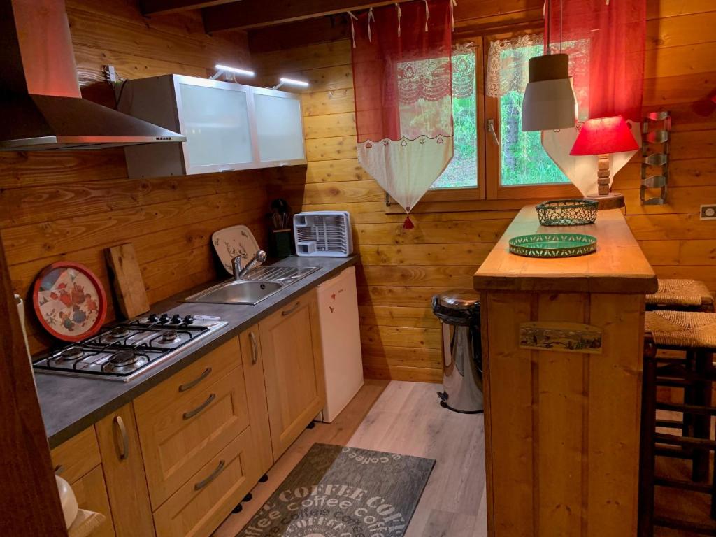 Kuchyň nebo kuchyňský kout v ubytování Appartements Barcelonette by PraLoup Vacances