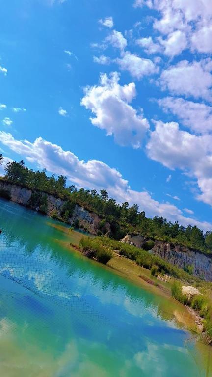 une grande masse d'eau avec des arbres à l'arrière-plan dans l'établissement Mobil home au plein cœur de la nature, à Bardenac
