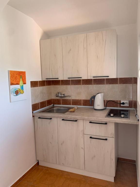 Kuchyň nebo kuchyňský kout v ubytování Villa Lila